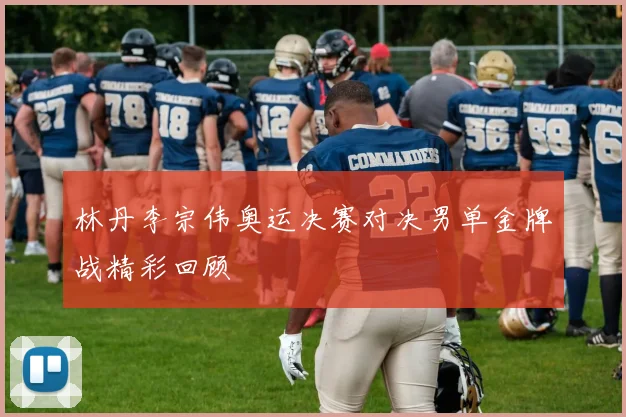 林丹李宗伟奥运决赛对决男单金牌战精彩回顾