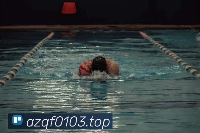 米兰app体育登录入口APP 封面图